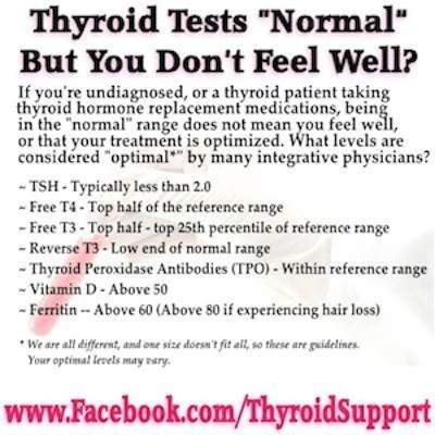 Tsh Test Results Fasting Diet