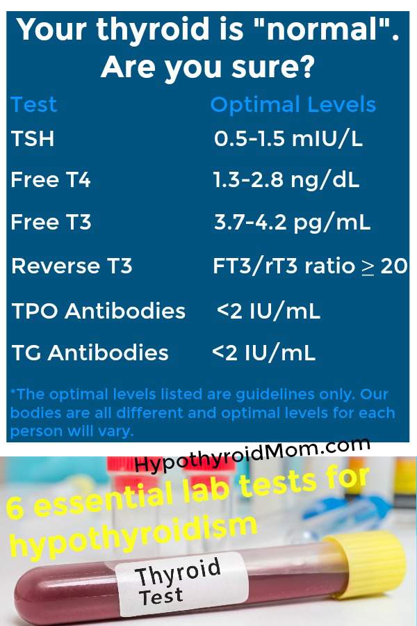 proper test thyroid Reasons Diagnose 5 To Top Fail Doctors Hypothyroidism