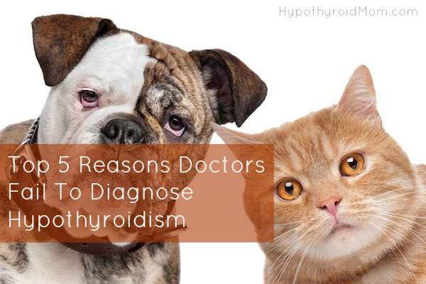 Top 5 Reasons Doctors Fail To Diagnose Hypothyroidism