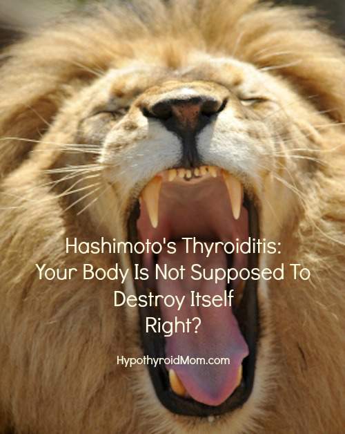 Hashimoto's: Your Body Is Not Supposed To Destroy Itself Right?
