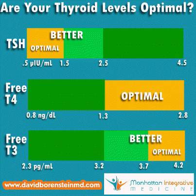 Are your thyroid levels optimal?