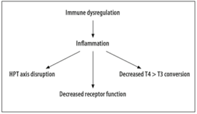 Functional Medicine Approach To Healing Hypothyroidism | Hypothyroid Mom