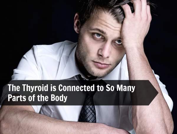 The Thyroid is Connected to So Many Parts of the Body