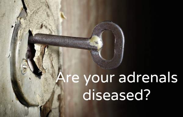 Are your adrenals diseased?