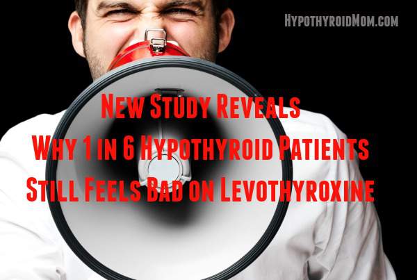 New Study Reveals Why 1 in 6 Hypothyroid Patients Still Feels Bad on Levothyroxine