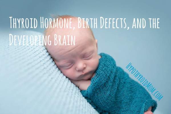 Thyroid Hormone, Birth Defects and the Developing Brain