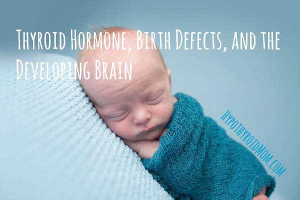 thyroid-hormone-birth-defects-and-the-developing-brain-hypothyroid-mom