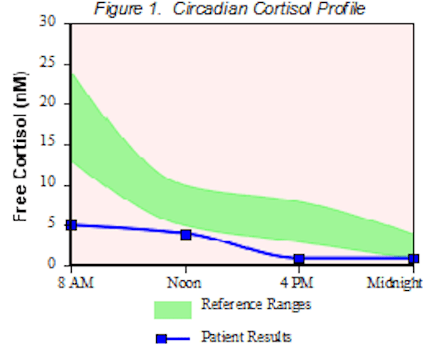 Cortisol and Thyroid Hormones