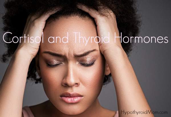 Cortisol and Thyroid Hormones