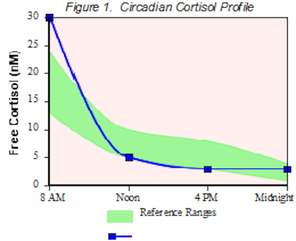 Cortisol and Thyroid Hormones