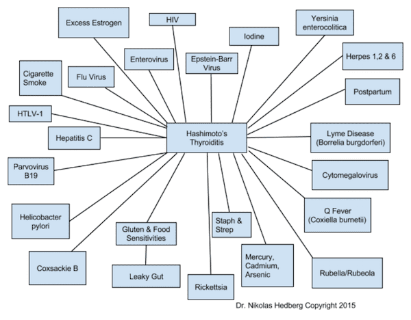 Hashimoto's Disease: The Infection Connection
