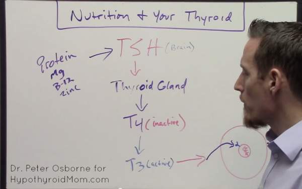 10 Nutrient Deficiencies Every Thyroid Patient Should Have Checked