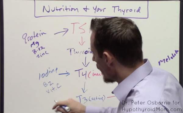 10 Nutrient Deficiencies Every Thyroid Patient Should Have Checked