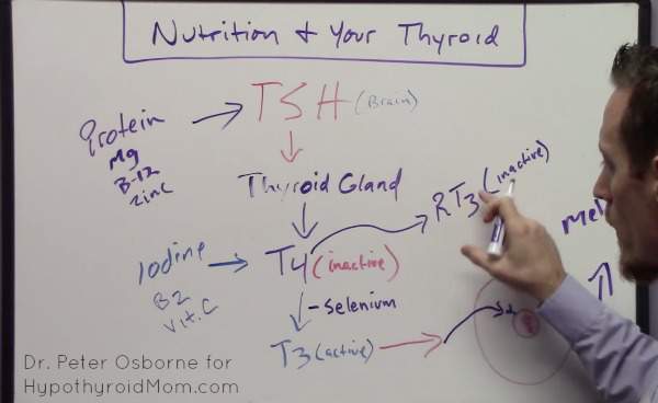 10 Nutrient Deficiencies Every Thyroid Patient Should Have Checked