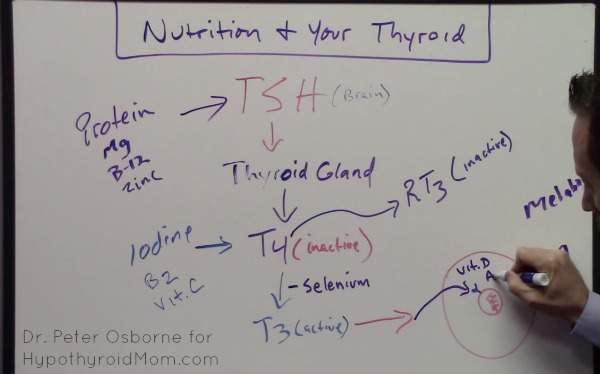 10 Nutrient Deficiencies Every Thyroid Patient Should Have Checked