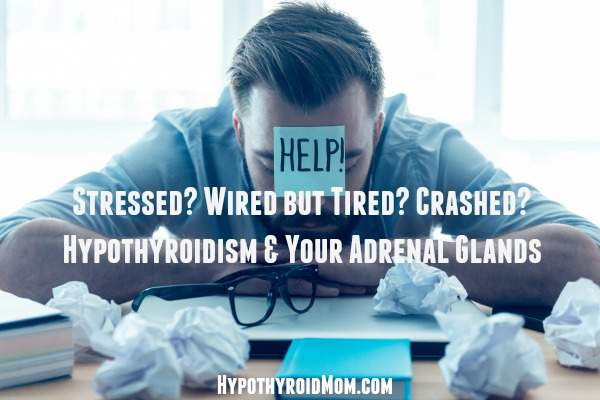 Stressed? Wired but Tired? Crashed? Hypothyroidism & Your Adrenal Glands