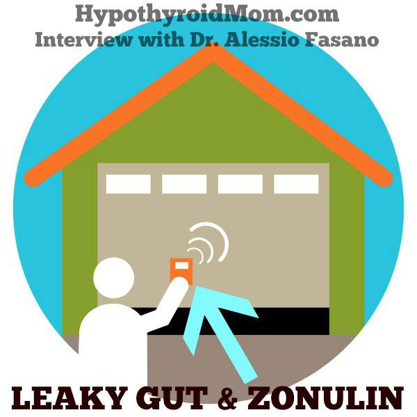 Leaky Gut & Zonulin