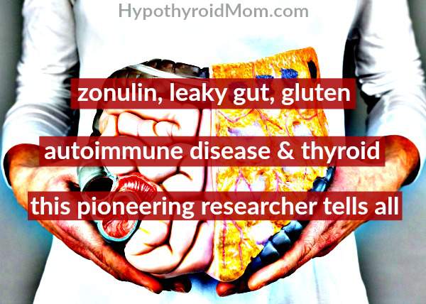 zonulin, leaky gut, gluten, autoimmune disease & thyroid: this pioneering researcher tells all
