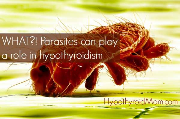 What?! Parasites can play a role in hypothyroidism