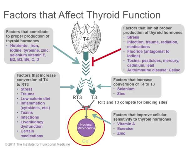 Thyroid and Mental Health: It's NOT All In Your Head