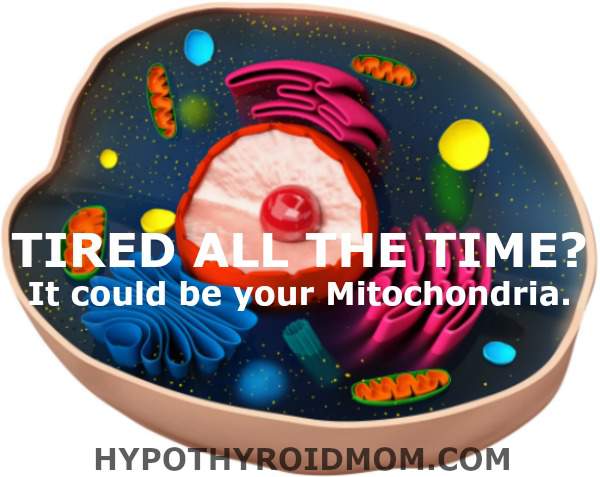 Tired all the time? It could be your Mitochondria.