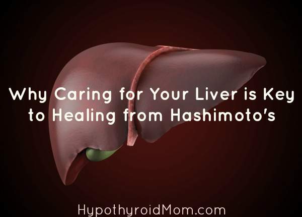 Why Caring for Your Liver is Key to Healing from Hashimoto's