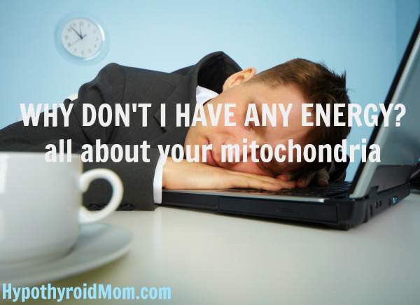 Why don't I have any energy? all about your mitochondria