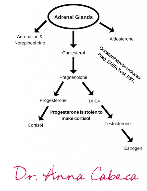 Is everyday stress causing havoc with your hormones?