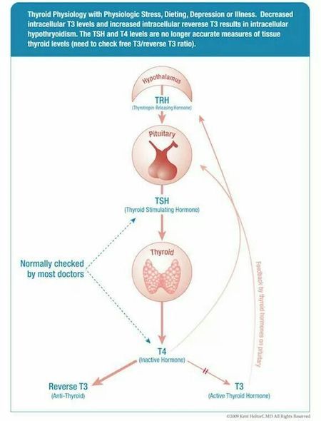 Is your thyroid doctor treating 17 years behind current medical research?