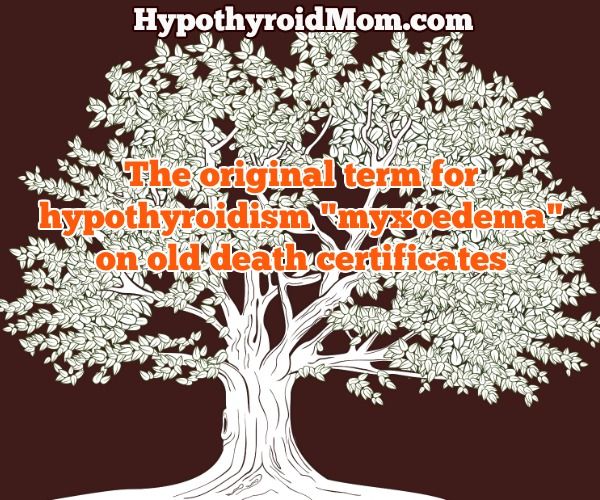 The original term for hypothyroidism (myxoedema) on old death certificates
