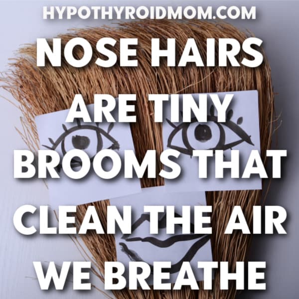 Nose hairs filter the air we breathe
