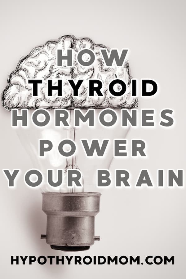 how thyroid hormones power your brain