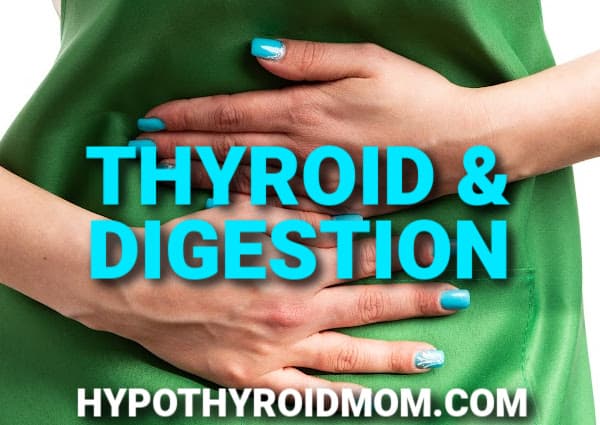 thyroid dysfunction and the gut digestive tract including stomach, small intestines, large intestines, colon, gall bladder, and pancreas
