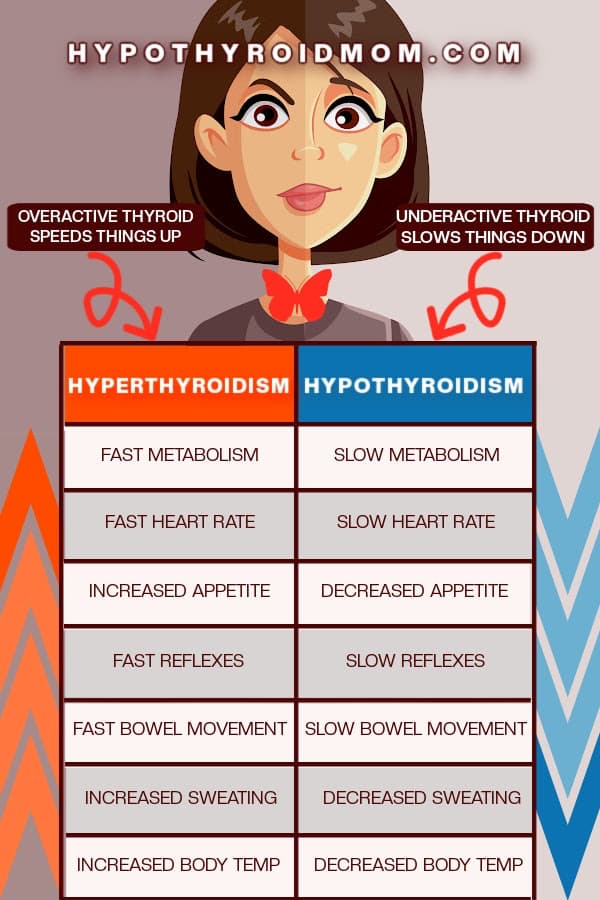 hyperthyroid versus hypothyroid symptoms